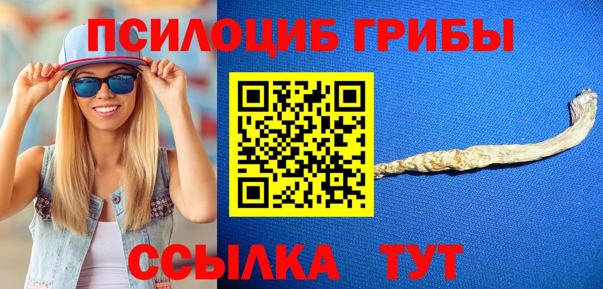 Новотроицк  Галлюциногенные грибы MAGIC MUSHROOMS  Вход с VPN 