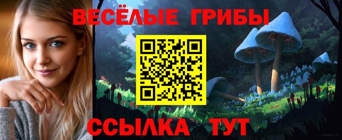 Галлюциногенные грибы мицелий Новотроицк